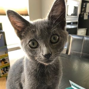 Meet your Posher, Kasumi